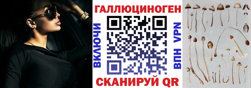 Галлюциногенные грибы Cubensis  Николаевск-на-Амуре 